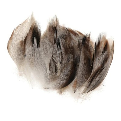 50Pcs Natural Mallard Duck Wing 1.6-4.7Inch for Craft Wedding Party