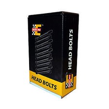 New Ford 289 302 5.0l Head Bolt Kit Set Bolts Both Iron Heads