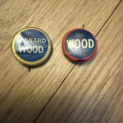 General Leonard Wood 1920 Presidential Hopeful Pinback Buttons Pins Roosevelt