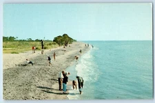 c1960 Venice Florida FL Vintage Postcard Venice Beach Seaside View White Sands