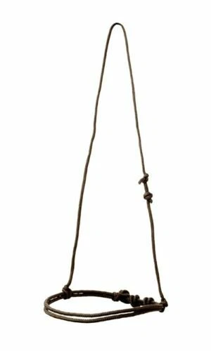 Markenlose Reithalfter Reitsport-Trensen & Kandaren