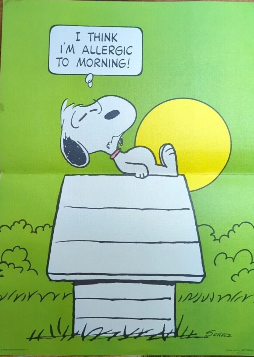 Vintage Snoopy Poster In other Collectible Peanuts Items for sale