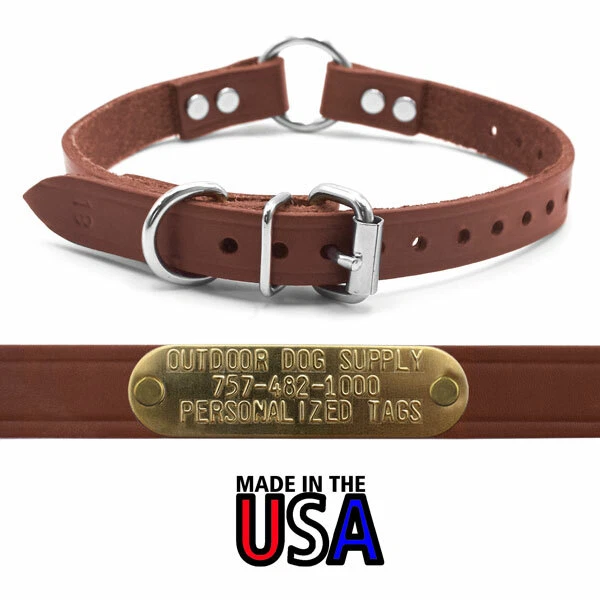 Leather 3/4 wide Dog Collar with D ring O ring & Custom Brass Name Plate  Id Tag