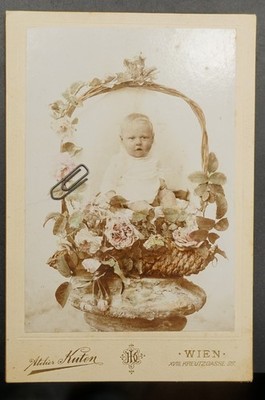 Foto CDV KAB Portrait Kleinkind Baby koloriert Blumen Pflanzen Wien Korb Bild