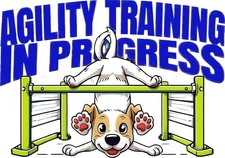 Dog Agility - Handler In Training In Progress- Weave Pole Struggles Are Real