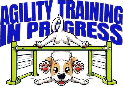 Dog Agility - Handler In Training In Progress- Weave Pole Struggles Are Real!