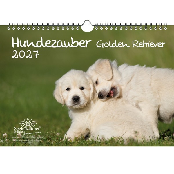 Hundezauber Golden Retriever Din A4 Kalender FüR 2027 Welpen Und Hunde - Seelenz-image