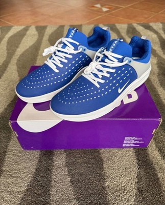 Nike SB Zoom Nyjah 3 Size EU 46 (US 12) Game Royal (style: DV1187 400)