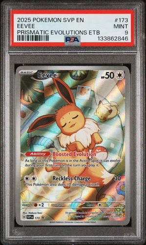 2025 POKEMON SVP EN-SV BLACK STAR PROMO #173 EEVEE PSA 9
