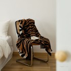 Bild 17 von 22