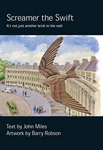 Screamer the Swift (Chick Books) by Miles, John Book The Cheap Fast Free Post - Picture 1 of 2