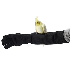 Bird Training Anti-Bite Gloves Level 5 Protection Parrot Chewing Working Safe...