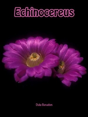 Echinocereus