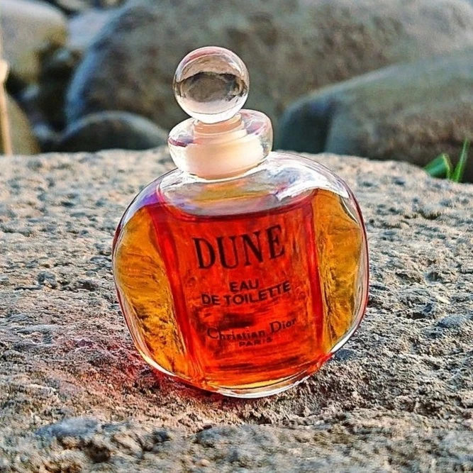 Dune Christian Dior online kaufen | eBay.de