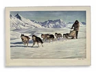 Charles Gause Alaska Husky Dog Sled Art Print Iditarod Musher Signed Numbered