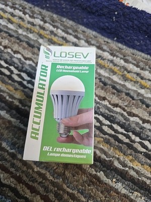 Losev Light Ices-005
