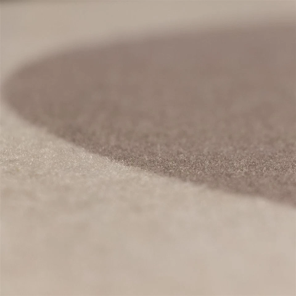 Fußmatte 90x120cm Türmatte Schmutzfangmatt Sauberlaufmatte Fußabtreter waschbar - Bild 3 von 4