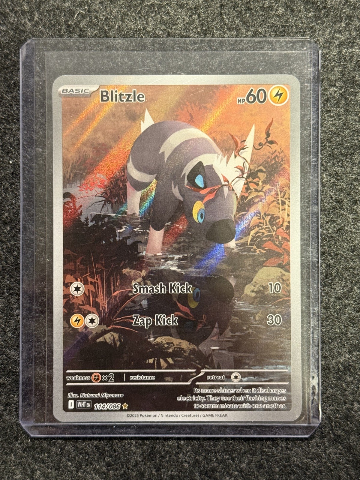 Pokemon Blitzle Illustration Rare 114/086 White Flare English
