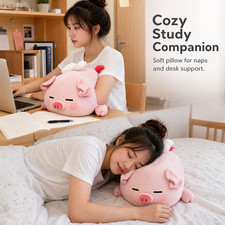 Kuscheltier Schwein als Kissen, Pl&uuml;sch Schwein Kissen, als Dekoration