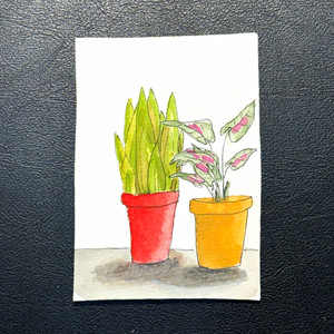 ACEO Original Signed Illustration Drawing Two Potted Plants on Paper OOAK