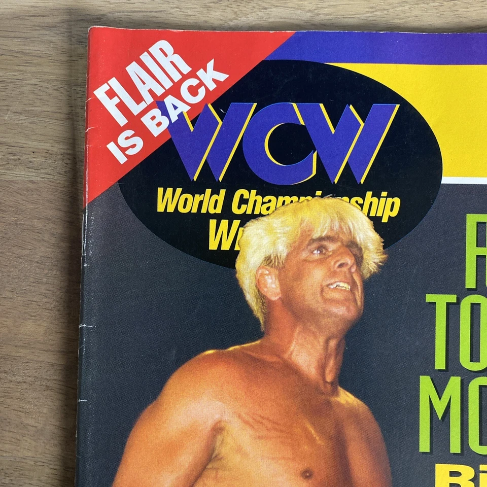 Revista de lucha libre WCW 1995 edición #5 Ric Flair está de vuelta, póster de Nasty Boys Foto 2 de 4