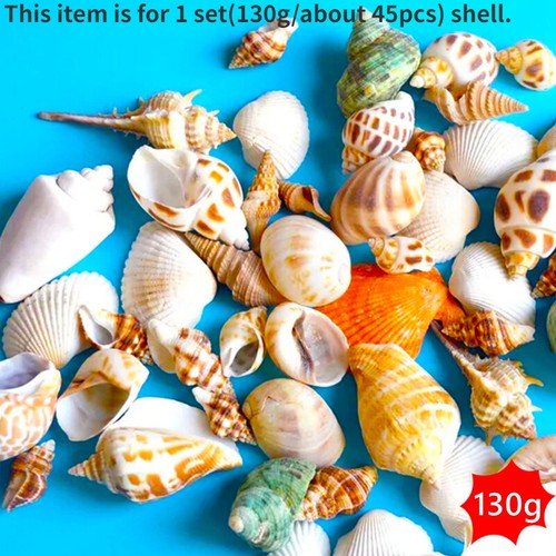 1 lot 130 g mélange coquille mer plage conque aquarium paysage ornement d'aquarium amusant - Photo 1 sur 6