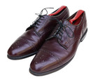 Allen Edmonds Sanford 5237 Burgundy Leather Cap Toe Oxford Dress Shoe 9.5C — photo 2