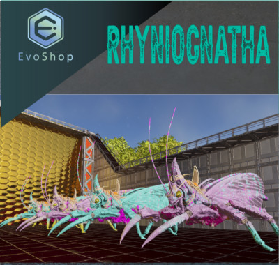 Ark Survival Ascended - 100% imprinted Rhyniognatha with saddle - PvE