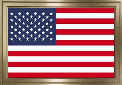 Flag of USA - 8 Frame Color Choices - Non-Glare - Ready to Hang Anywhere -