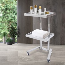 2 Tier Cart Rolling Trolley Beauty Salon Storage Cart Holder Trolley Tray Silver