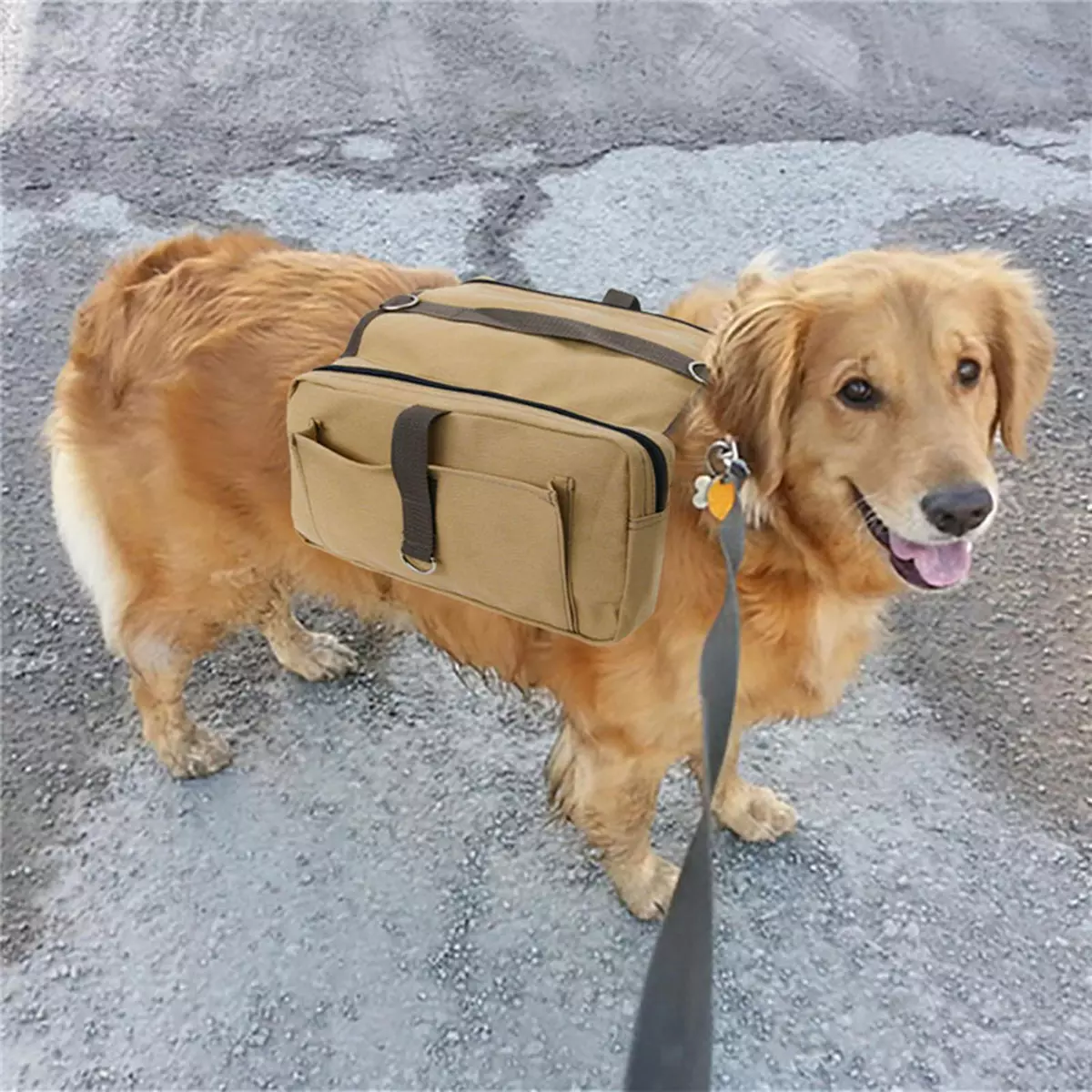 Dog Backpack Functional Saddle Bag Breathable Wear Resistant for