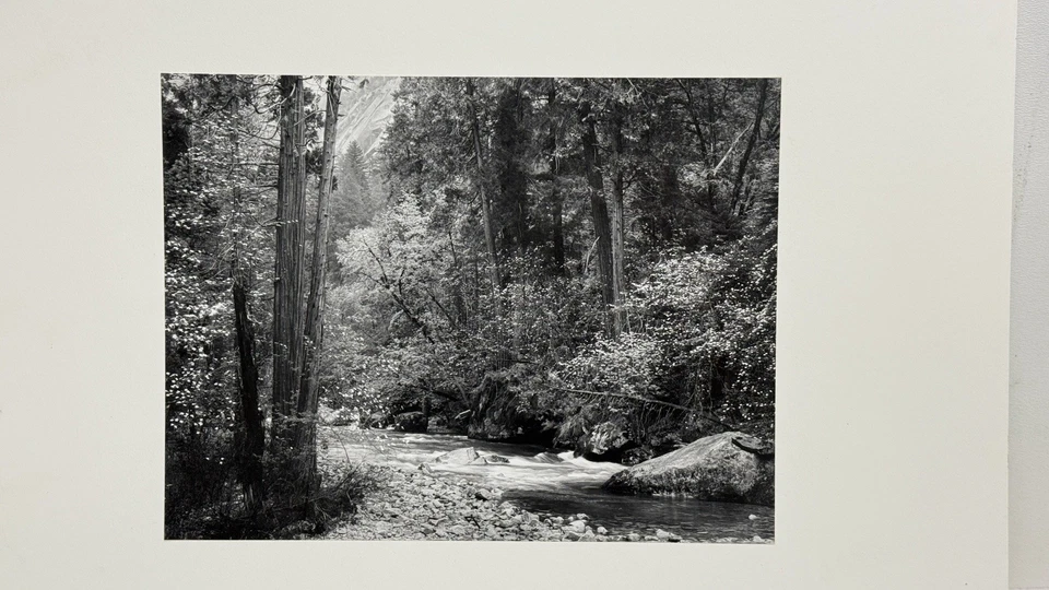 Edición especial. Iniciales Ansel Adams Tenya Creek, Dogwood Rain Yosemite Alan Ross Foto 2 de 4