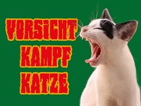 Holzschild 30X40 Cm Vorsicht Kampfkatze GrüN Deko Geschenk Holz Schild