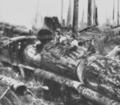 1907 Photo Negative Film Loggers Sitting Huge Trees Acme Logging Camp Acme Wash