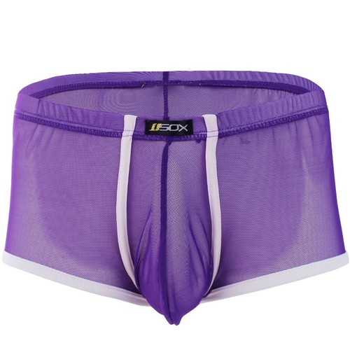 Male Sexy Lingerie Men Underwear Mesh Transparent Boxer Briefs Trunks