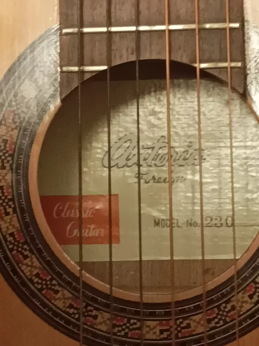 Fujigen 2024 gakki guitars