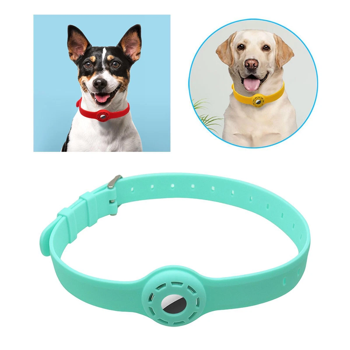 Dog's hotsell neck belt