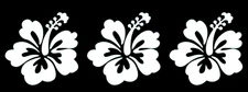 Hibiscus 3 Pack, Hawaiian Flower White 3" Vinyl Decals Car Window Laptop Tumbler