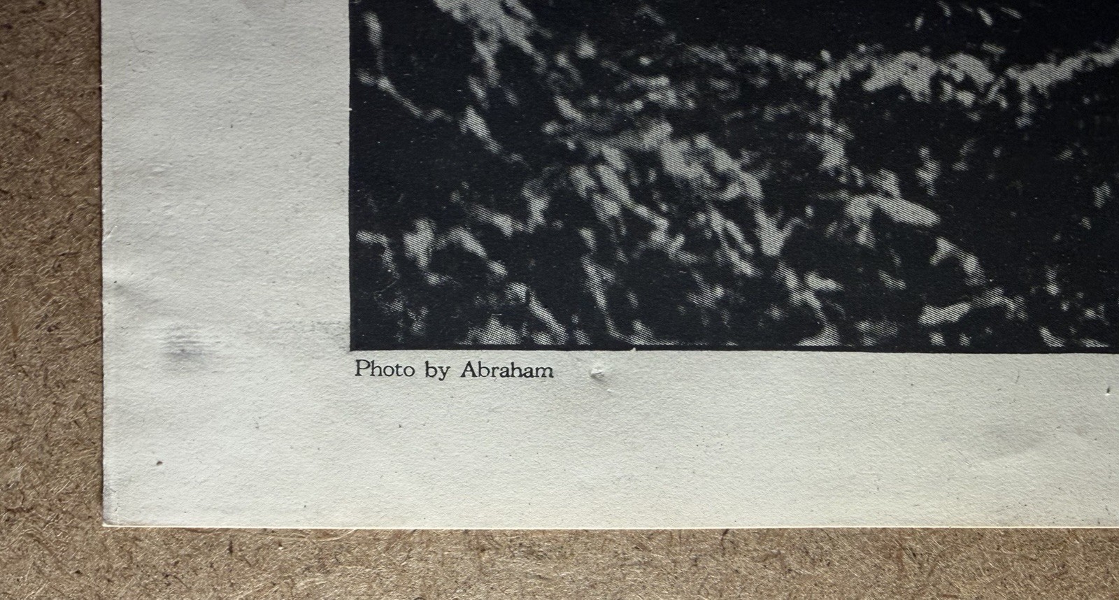 Photo 7