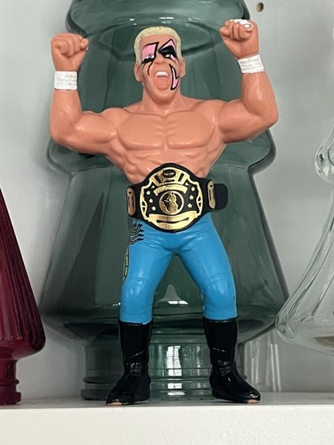 Vintage WCW  Galoob Sting With World Championship ...