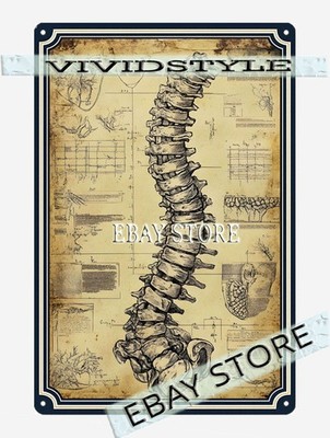 Spine Diagram Metal Poster Metal Tin SignVintage Medical Study Art