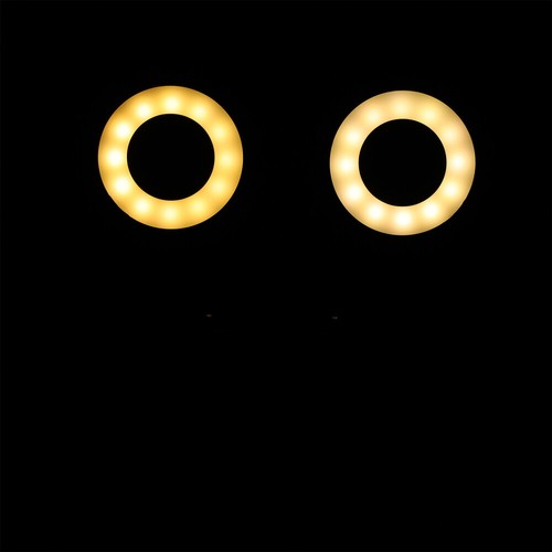 Doppelkopfbeleuchtung Aufsteckbares Selfie-Fülllicht Aufstecklampe - Zdjęcie 11 z 12