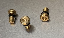 Kayaba Showa Gabel Entlüftungsschraube mit O-Ring Torx TX20 Gold - 1 Stück