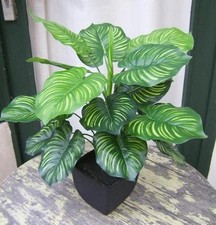 Künstliche Calathea Pflanze im Topf ca. 45cm -Top Qualität Kunstpflanze