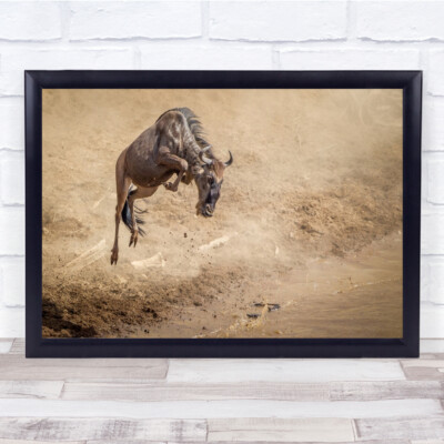 Echte Sportler der Natur springen in die Luft Wildtiere Tiere Wüste Wandkunstdruck