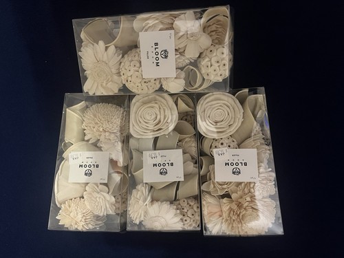 Bloom Room Beautiful Dried Floral Filler Antique White - 4 Boxes Total
