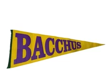 Vintage Bacchus Mardi Gras New Orleans  Purple Yellow Pennant 80’s 90’s
