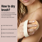 2 Pack Dry Brushing Body Brush, Natural and Soft Bristle Shower Brush for Body C
