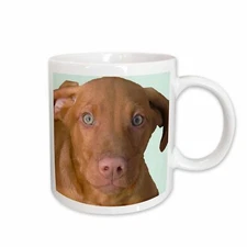 3dRose Vizsla Puppy Mug