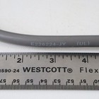 Picture 9 of 10